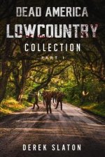Dead America Lowcountry Collection Part 1 - Books 1 - 6
