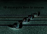 10 escargots font la course