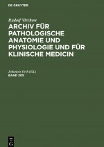 Rudolf Virchow: Archiv Fur Pathologische Anatomie Und Physiologie Und Fur Klinische Medicin. Band 205
