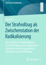 Der Strafvollzug ALS Zwischenstation Der Radikalisierung