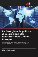 Georgia e la politica di migrazione dei lavoratori dell'Unione Europea