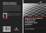 Segmenti del complesso di Zezuru