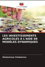 Les Investissements Agricoles A l'Aide de Modeles Dynamiques