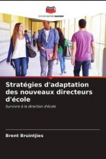Strategies d'adaptation des nouveaux directeurs d'ecole