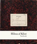 Hilma af Klint : The Five Notebook 1