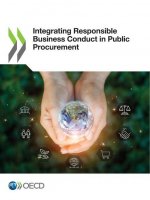 Integrating responsible business conduct in public procurement