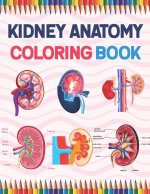 Kidney Anatomy Coloring Book