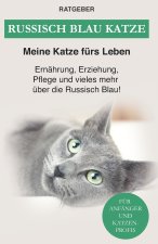 Russisch Blau Katze