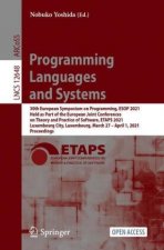 Programming Languages and Systems