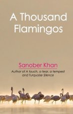A Thousand Flamingos