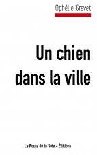 Un chien dans la ville