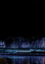 LE LOUP DE SIBERIE