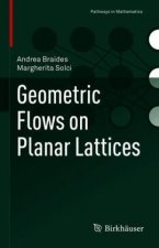 Geometric Flows on Planar Lattices