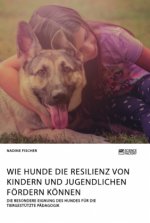 Wie Hunde die Resilienz von Kindern und Jugendlichen foerdern koennen. Die besondere Eignung des Hundes fur die tiergestutzte Padagogik