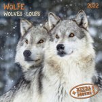 Wölfe - Wolves - Loups 2022 Artwork