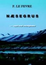 N?SEGRUS - rejse mod virkeligheden