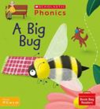 Big Bug (Set 3)
