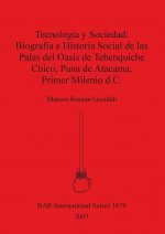 Tecnologia y sociedad: biografia e historia social de las palas del oasis de Tebenquiche Chico. Puna de Atacama. Primer milenio d.c.