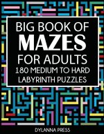 Big Book of Mazes for Adults
