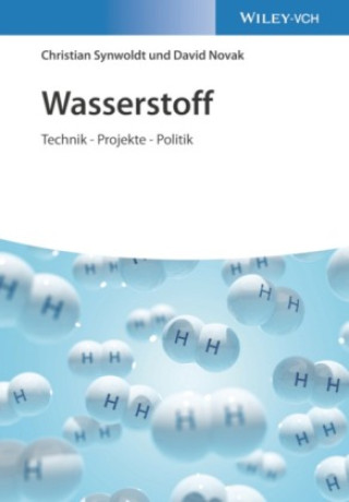 Wasserstoff - Technik - Projekte - Politik