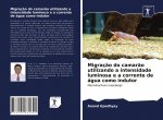 Migracao do camarao utilizando a intensidade luminosa e a corrente de agua como indutor