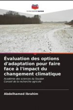 Evaluation des options d'adaptation pour faire face a l'impact du changement climatique