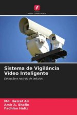 Sistema de Vigilancia Video Inteligente