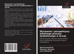 Wyzwania i perspektywy lokalnego procesu budżetowego w Gruzji