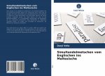 Simultandolmetschen vom Englischen ins Maltesische