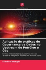 Aplicacao de praticas de Governanca de Dados no Upstream de Petroleo e Gas