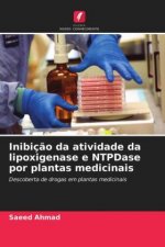 Inibicao da atividade da lipoxigenase e NTPDase por plantas medicinais
