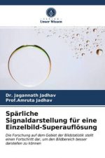 Sparliche Signaldarstellung fur eine Einzelbild-Superaufloesung