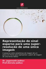 Representacao de sinal esparso para uma super-resolucao de uma unica imagem
