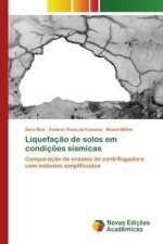 Liquefacao de solos em condicoes sismicas