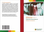 Cimentos bioceramicos