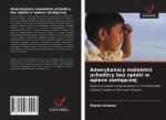Amerykańscy maloletni uchodźcy bez opieki w opiece zastępczej