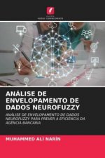 Analise de Envelopamento de Dados Neurofuzzy
