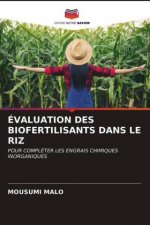 Evaluation Des Biofertilisants Dans Le Riz