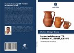 Inventarisierung ITA YEMOO MUSEUM, ILE-IFE