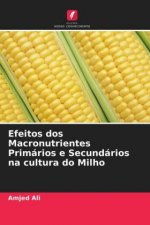 Efeitos dos Macronutrientes Primarios e Secundarios na cultura do Milho