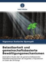 Belastbarkeit und gemeinschaftsbasierte Bewaltigungsmechanismen