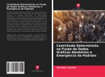 Caminhada Determinista na Fusao de Dados Graficos Aleatorios e Emergencia de Padroes