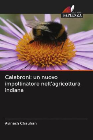 Calabroni