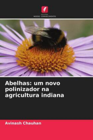 Abelhas
