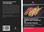 Produtividade Do Sorgo NAS Florestas Devulgaveis Medias