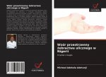 Wzor przestrzenny żebractwa ulicznego w Nigerii