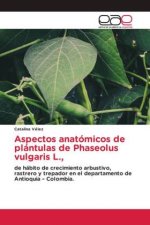 Aspectos anatomicos de plantulas de Phaseolus vulgaris L.,