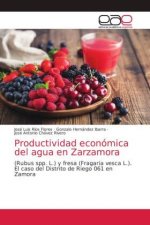 Productividad economica del agua en Zarzamora