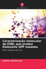 Caracterizacao molecular da ESBL que produz Klebsiella SPP isolados