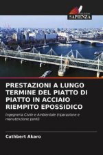 Prestazioni a Lungo Termine del Piatto Di Piatto in Acciaio Riempito Epossidico